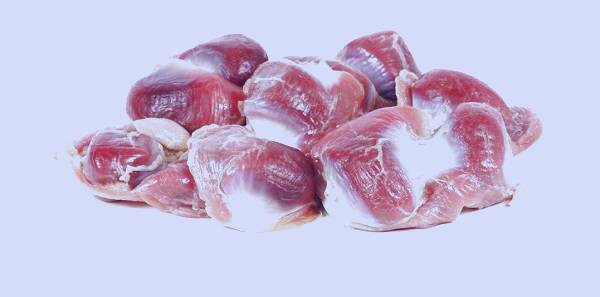 سنگدان مرغ برای کودکان