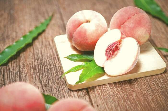 غذا های الوده،مضرات غذاهای مصرفی الوده،باکتری های موجود در غذا های مصرفی،