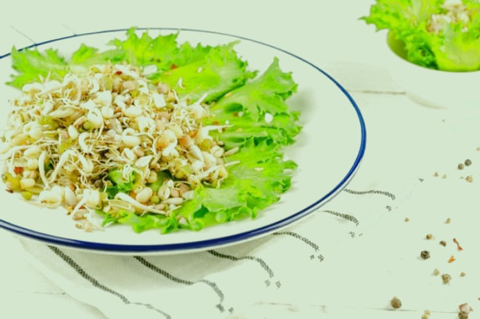 غذا های الوده،مضرات غذاهای مصرفی الوده،باکتری های موجود در غذا های مصرفی،