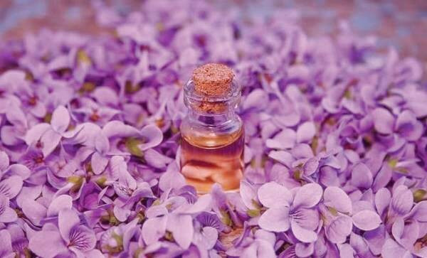 خواص روغن بنفشه