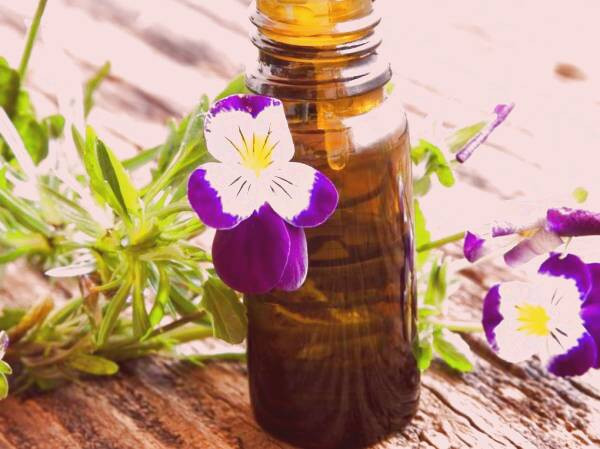 روش استفاده روغن بنفشه