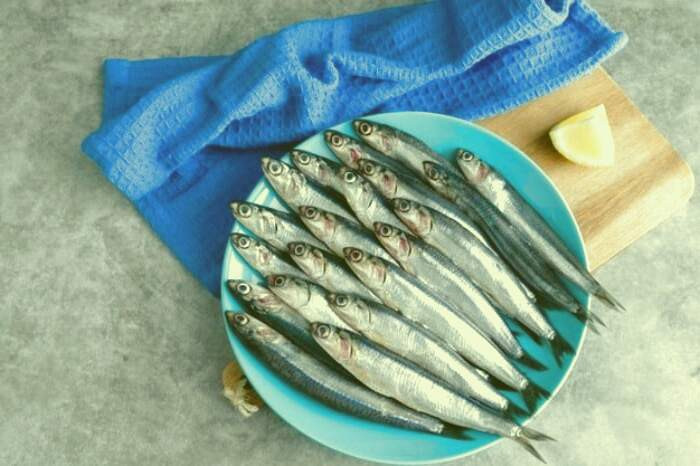 مضرات ماهی پرورشی