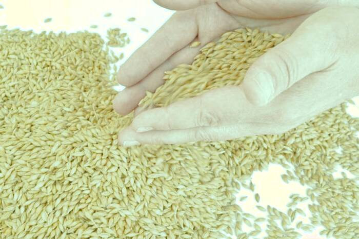 ویتامین مالت جو