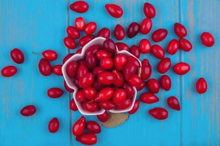 مصرف زغال اخته در بارداری مفید است؟