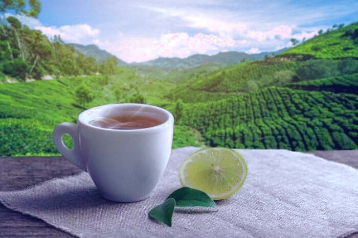 چای لیمو برای معده درد