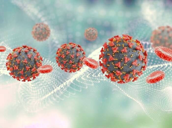 غذای ضد سرطان