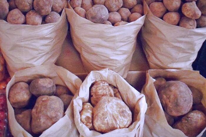 خواص قارچ دنبلان