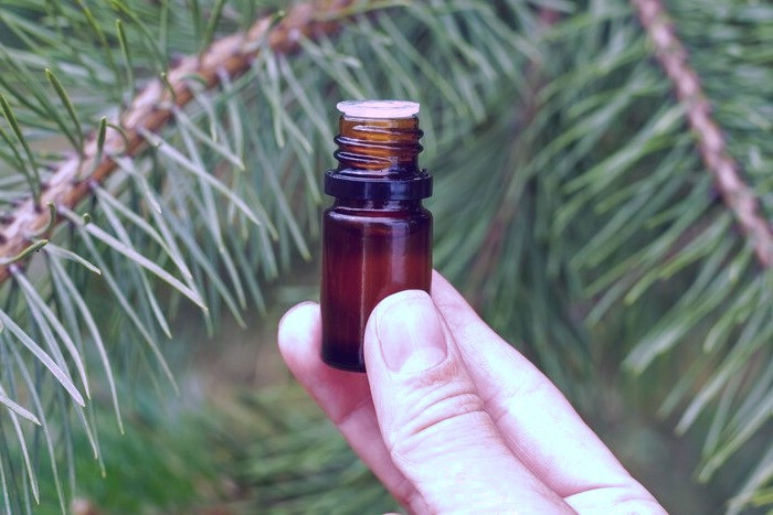 ماندگاری روغن خراطین