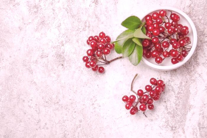 اسکیزاندرا