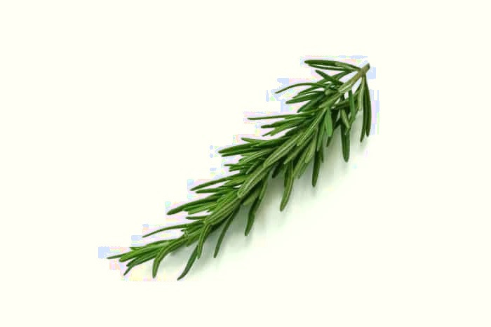 رزماری برای موی سر
