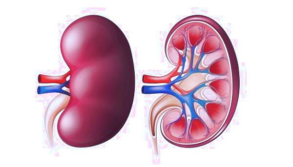 علت خارش پوست