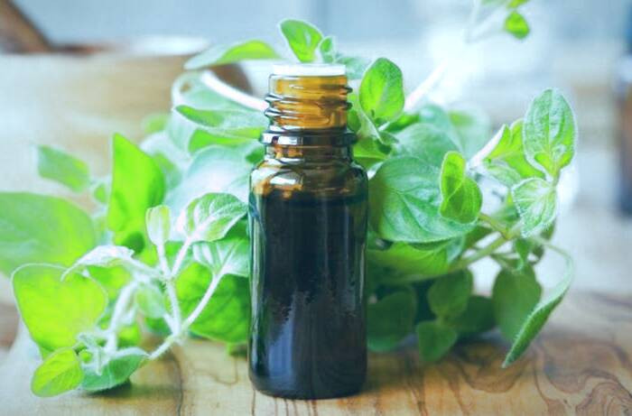 روغن پونه کوهی