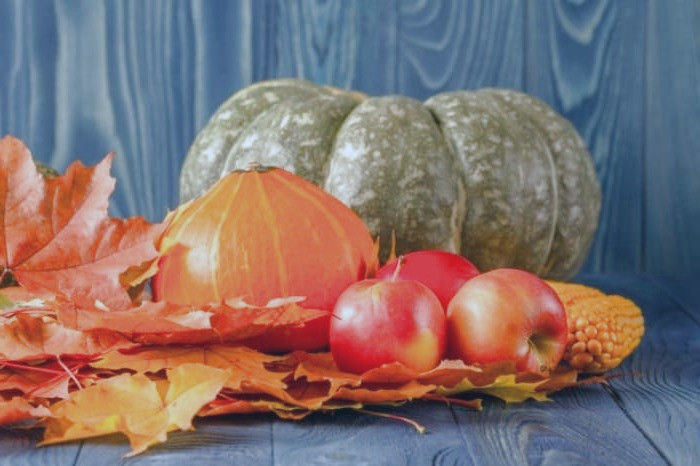 کدو تنبل چیست