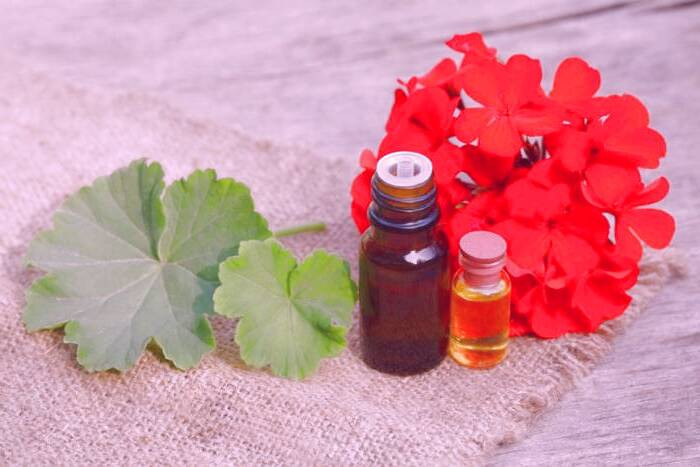 خواص روغن شمعدانی