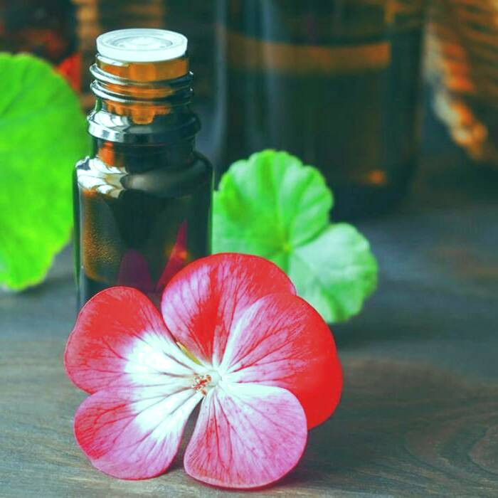 روغن ژرانیوم