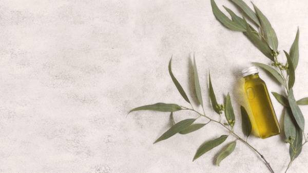 خواص روغن زیتون