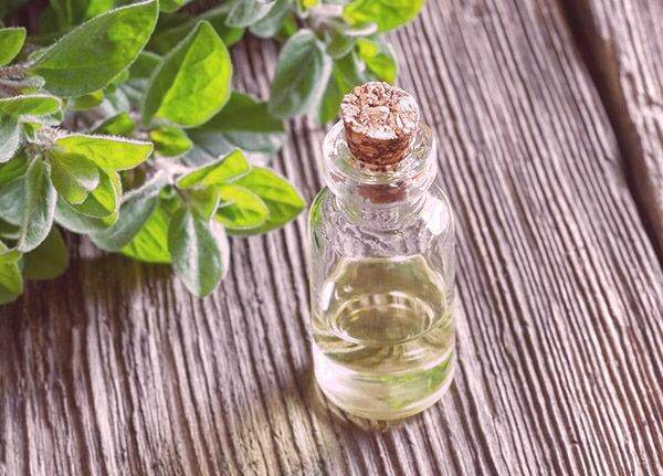 خاصیت روغن پونه