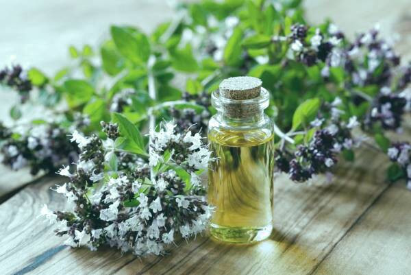 روغن پونه کوهی برای پوست