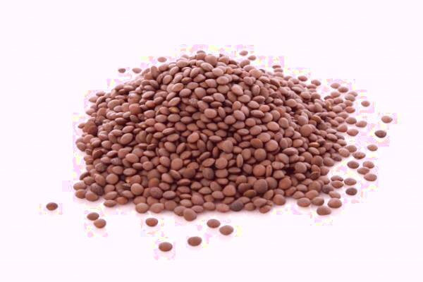 عدس برای سینوزیت