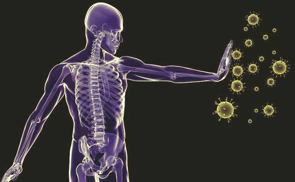 سیستم ایمنی بدن