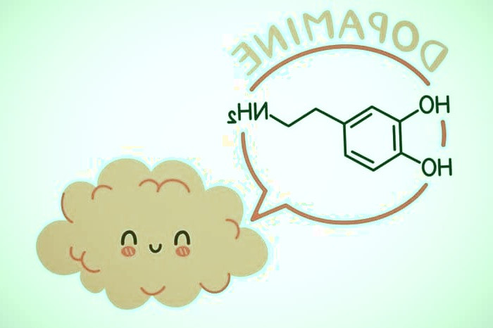 هورمون دوپامین از هورمون های شادی آور هورمون دوپامین