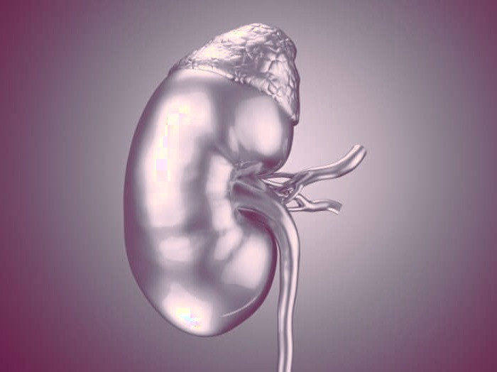 علت کم کاری غدد فوق کلیوی علت بیماری آدیسون