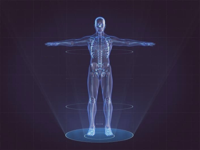 بیماری آدیسون و سیستم ایمنی بدن سیستم ایمنی بدن