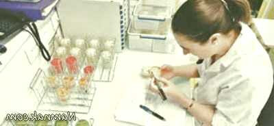 کشف مزه چربی به عنوان مزه ششم کشف مزه ششم