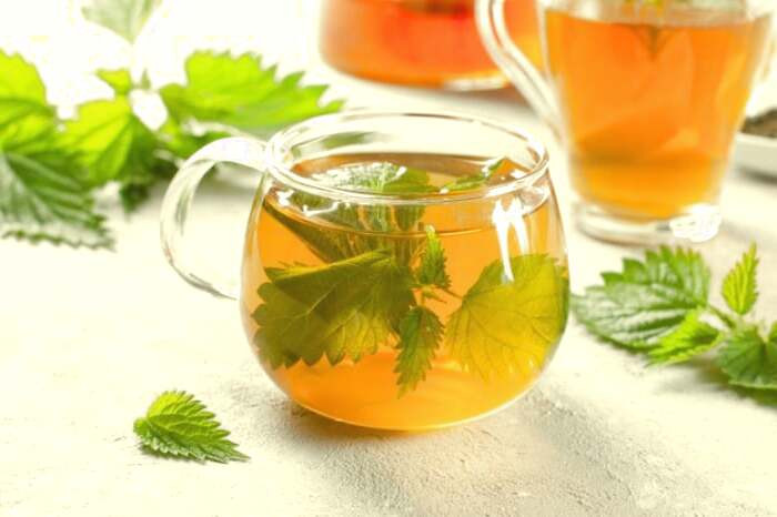 دمنوش گزنه برای مفصل دمنوش درمانی