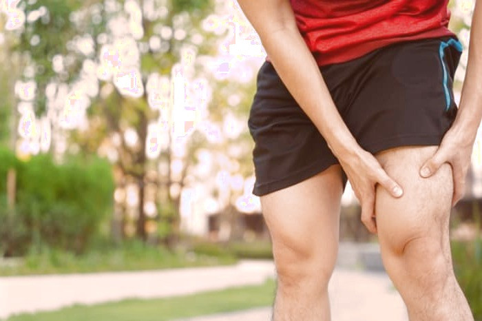 انواع مفاصل  مفصل ران