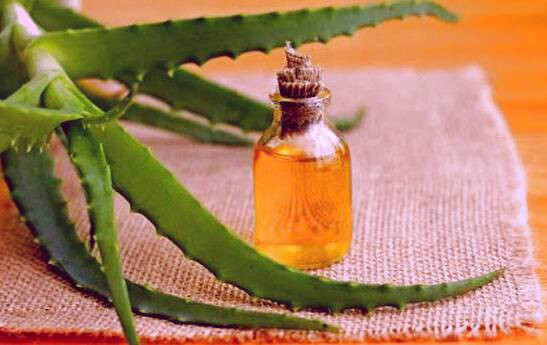 ژل آلوئه ورا و روغن ویتامین E   ژل آلوئه ورا