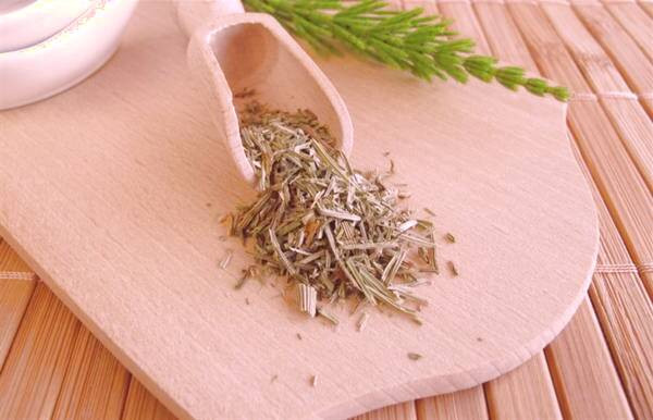 خواص گیاه دم اسبی گیاه دم اسبی