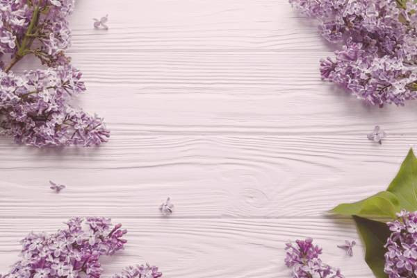 یاس بنفش برای درمان اگزما یاس بنفش