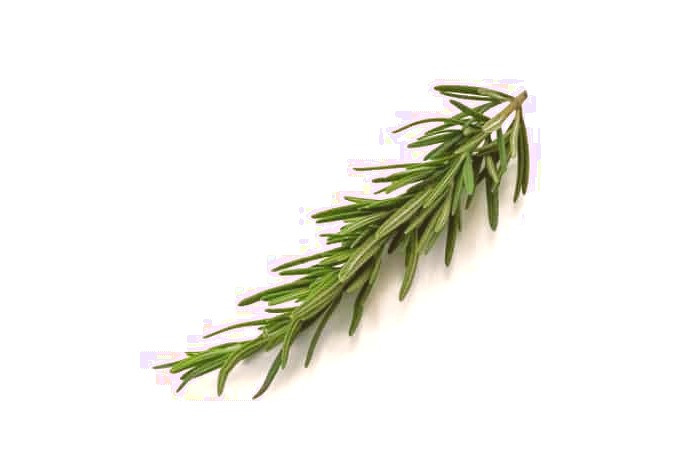 خواص آنتی کسیدانی رزماری روغن رزماری