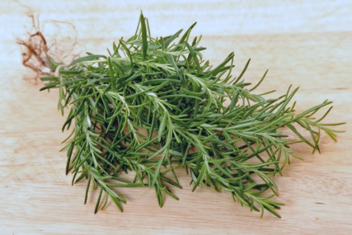 خواص رزماری در لاغری خواص رزماری