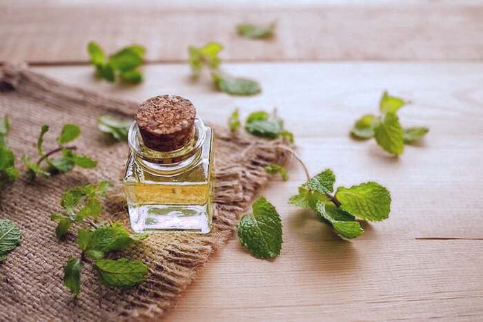 ماساژ روغن نعناع فلفلی نعناع فلفلی