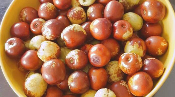میوه کنار برای تصفیه خون میوه کنار