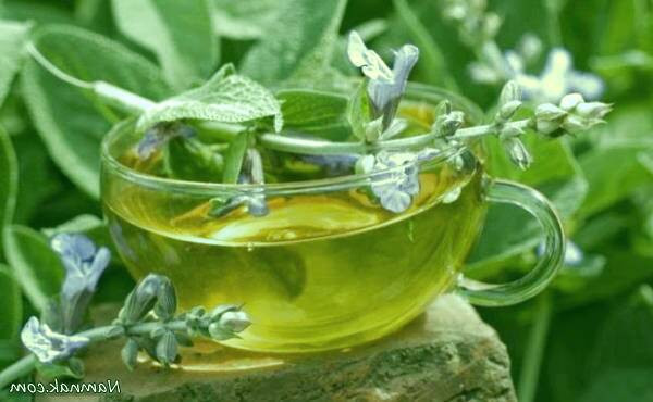 سم زدایی پانکراس