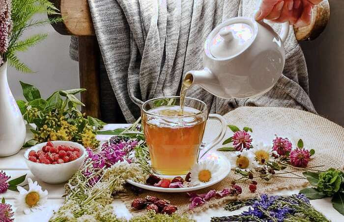 گیاهان دارویی را خودسرانه مصرف نکنید! گیاهان دارویی