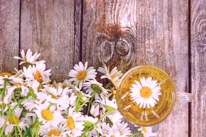 درمان گیاهی درد زیر شکم  علت درد زیر شکم در مردان