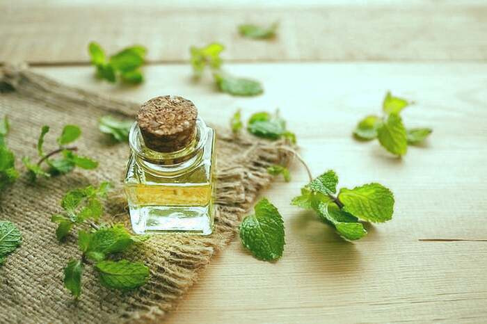 درمان های گیاهی برای درد زیر شکم  نعناع