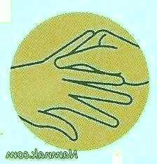 نقاط کلیدی بدن 