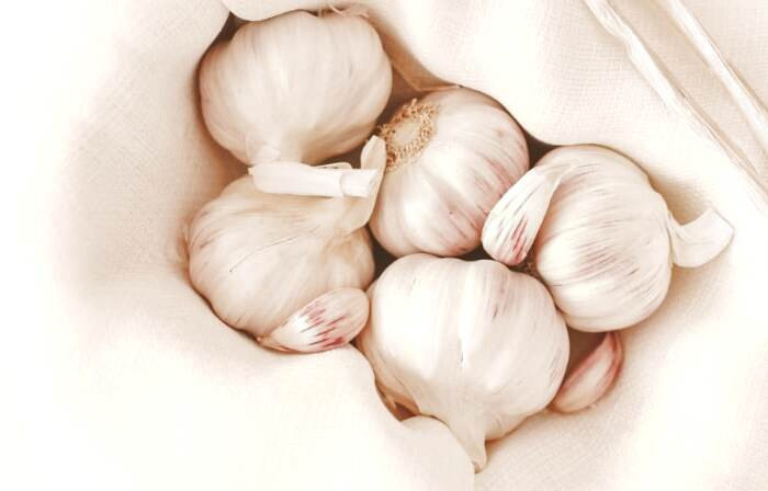 سیر از داروهای خانگی طب سنتی سیر