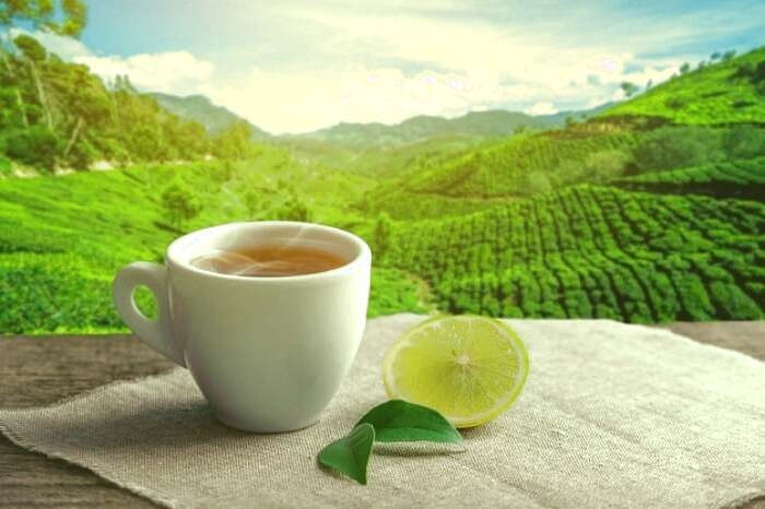 چای لیمو برای درمان خلط گلو مفید است چای لیمو