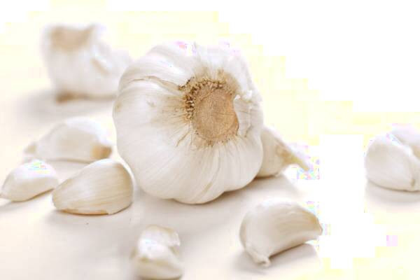 سیر از مواد غذایی مفید برای بهبود گردش خون سیر