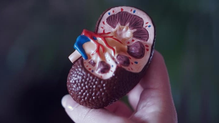 پیری و کلیه