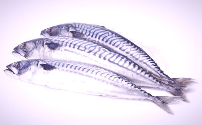 ماهی خال خالی