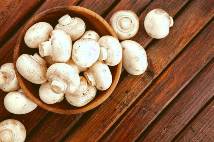 ویتامین d قارچ