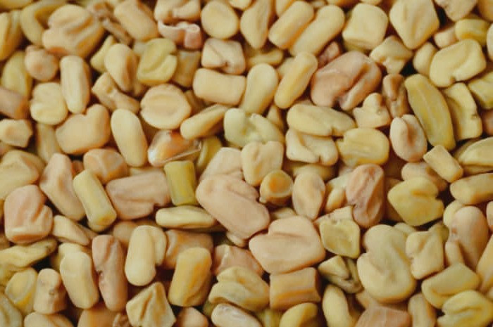 خواص تخم شنبلیله