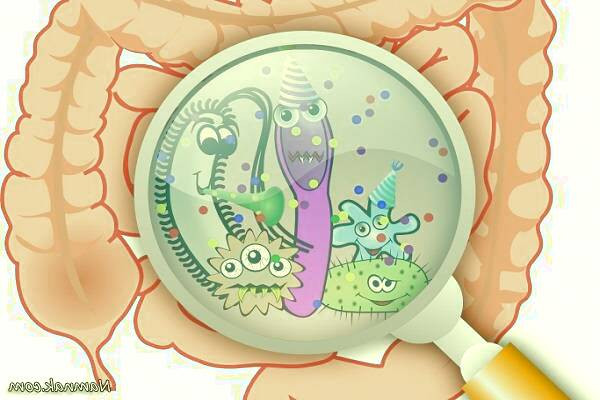 جلوگیری از گاستروانتریت